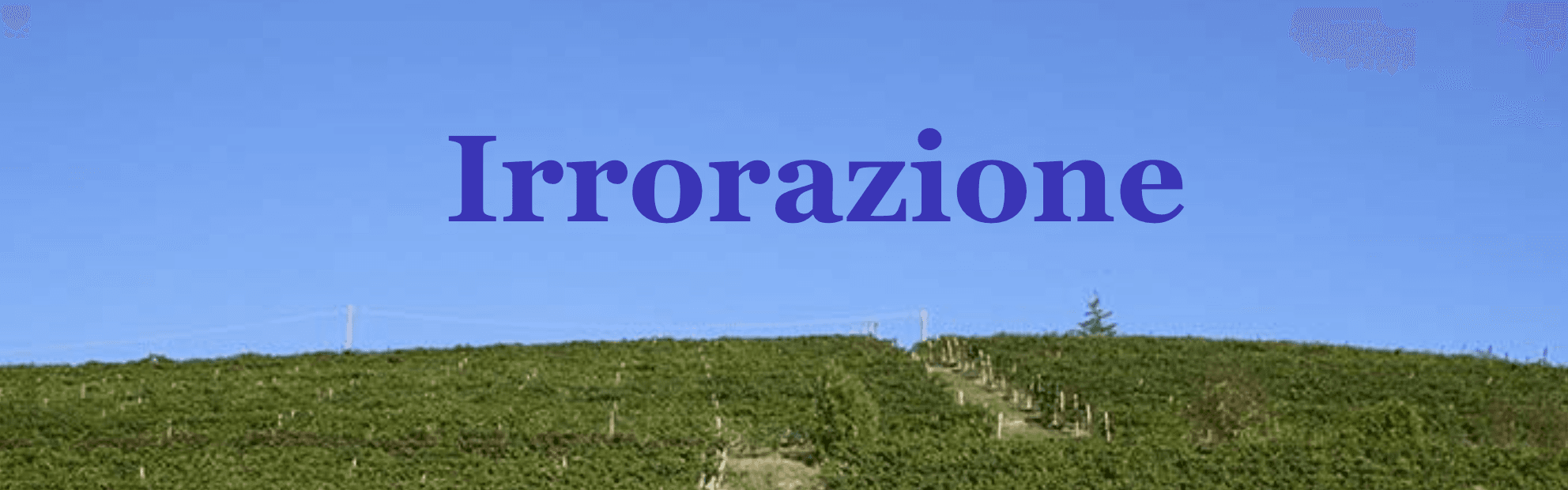 Cover Photo Revello Giovanni snc